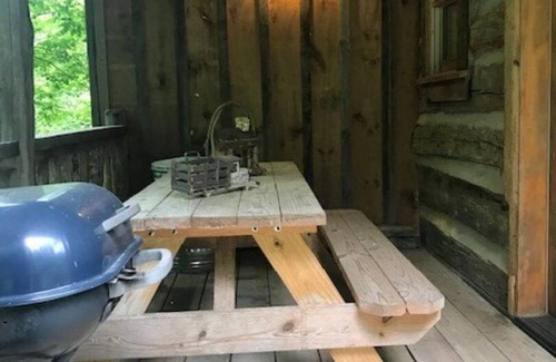 Newland Cabin | Authentic Log Cabin in the Blue Ridge Mountains Family and Pet friendly