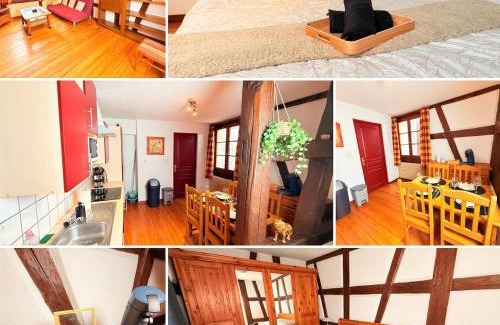Rouffach Apartment | Authentique Alsacien - coeur historique de Rouffach