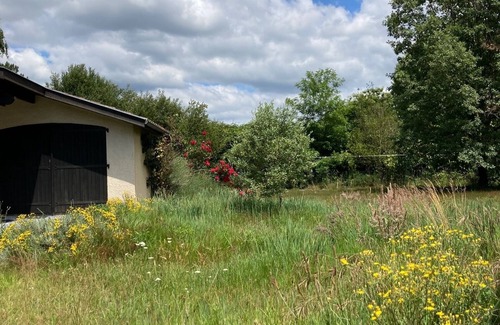 Pontenx-les-Forges House | Authentisches Landhaus am Wald Nahe des Atlantiks