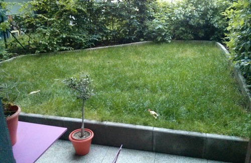 Chatenay-Malabry Apartment | Aux Abords de La Vallée au Loups, de L'arboretum et Maison de Chateaubriand