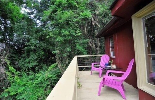 Asheville Cabin | AVAILABLE NOW Sweet Cabin 10 min to Ashvl., Quiet, BEES , Garden & DECK. Dogs Ok