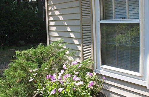 Hillsboro Cottage | Available summer & fall 2025