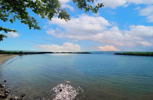 Labuhan Resort | Avery Coconut Island Waterpark Beach Resort Carita