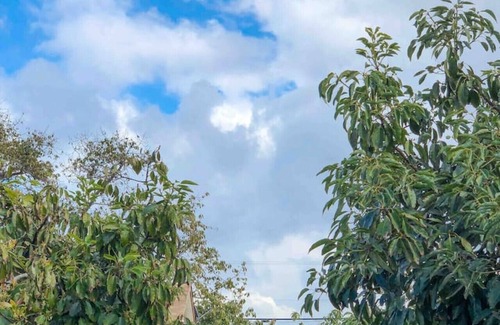 Camarillo Apartment | AVOCADO ACRES APT | Unique Spot | Comfy | Private