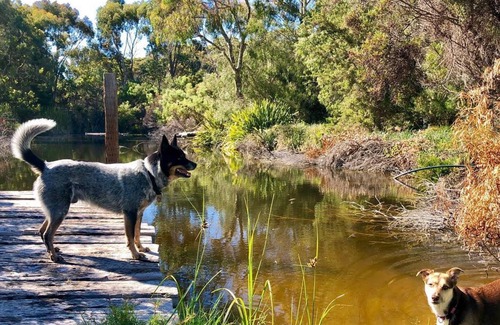 Pink Lake Apartment | Award Winning, Pet Friendly Accommodation