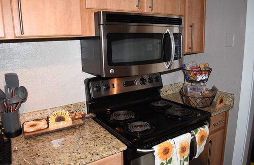 Downtown Dallas Apartment | Awesome! Apartment in Downtown Dallas!