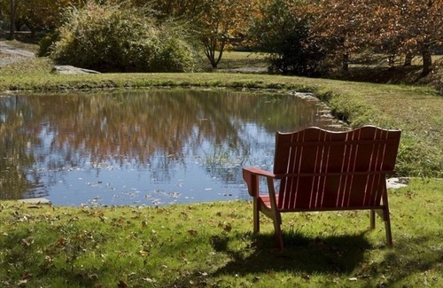 Andrews House | Awesome Cottage, Views, Waterfalls, Cute animals, streams, privacy, easy access
