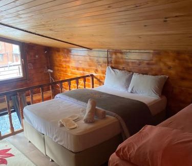 Ayder Yaylasi Apartment | Ayder Villas