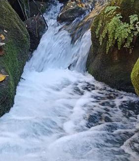 El Bosque Apartment | Azahares Apartamento turístico