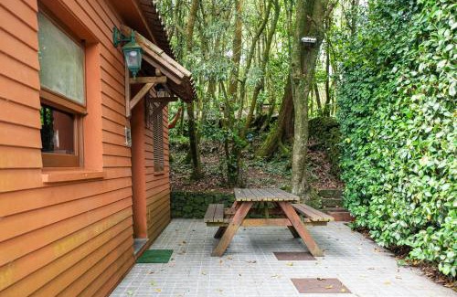 Ponta Delgada Apartment | Azores Casa da Mata wellness Spa