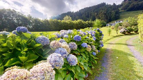 Furnas House | Azores Furnas Quinta Do Vale