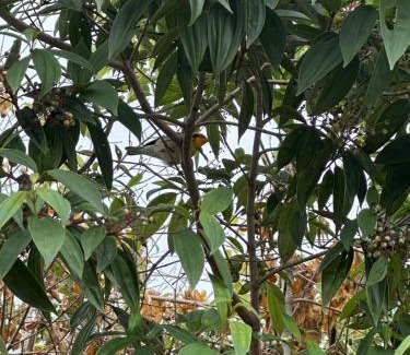 Jerico House | AZULEJO, Casa hotel campestre