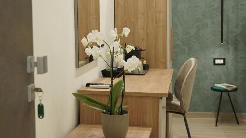 San Nicola Arcella Bed & Breakfast | B&b AL VENTI3