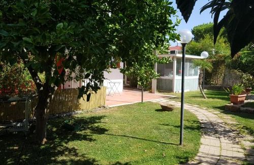 Valenzano Bed & Breakfast | B&B Albaluna