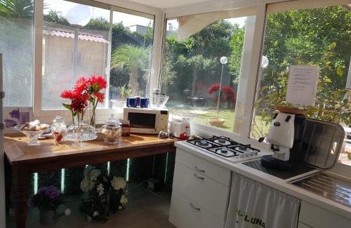 Valenzano Bed & Breakfast | B&B Albaluna