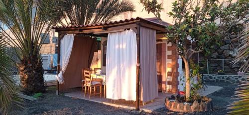 Los Llanos de Aridane Bed & Breakfast | B&B Amigos de la Naturaleza