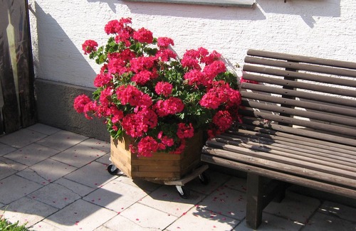 Unterammergau Apartment | B&B Apartment 2-4 pers. + double room n2-3pers.+Kingscard