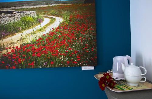 Ruvo di Puglia Bed & Breakfast | B&B Arco Caputi