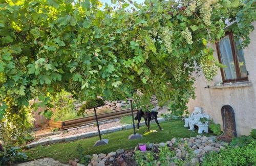 Santa Giulia Bed & Breakfast | B&B Arghjola