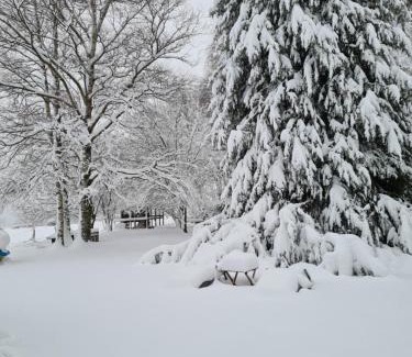 Jalhay Bed & Breakfast | B&B Au Coq en Pate