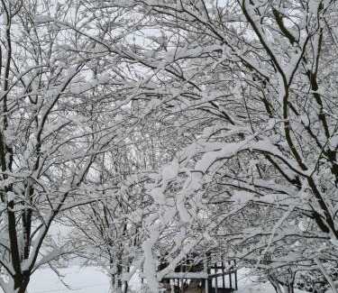 Jalhay Bed & Breakfast | B&B Au Coq en Pate