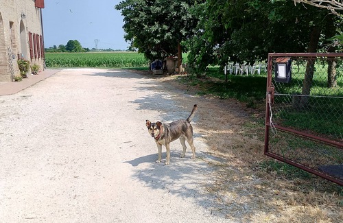 Massa Castello Villa | B&B "Cà AD COL FIURì "