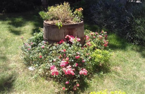 Marsciano Bed & Breakfast | B&B Casa Losea