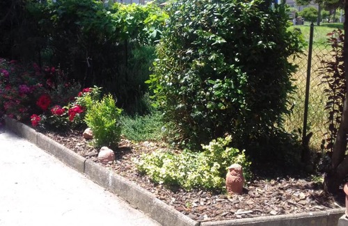 Marsciano Bed & Breakfast | B&B Casa Losea