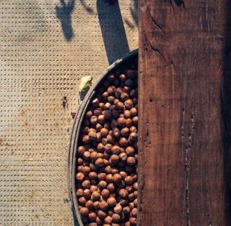 Monteu Roero Bed & Breakfast | B&B Cascina Cortassa