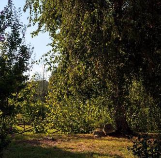 Monteu Roero Bed & Breakfast | B&B Cascina Cortassa