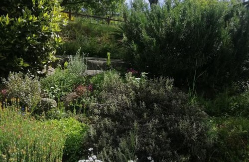 Pavana Bed & Breakfast | B&B Clara's Garden