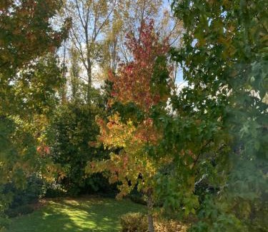 Lampernisse Bed & Breakfast | B&B en Wellness De Kleine Bever