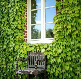 Couvin Bed & Breakfast | B&B Haut Brûly