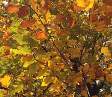 Manta Bed & Breakfast | B&B Il Castello del Ghiro RENT E-BIKE