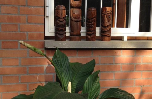 Savena Bed & Breakfast | B&B Il Picchio