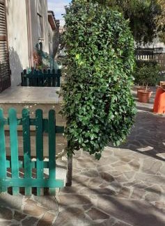Civitella in Val di Chiana Bed & Breakfast | B&B La Camelia