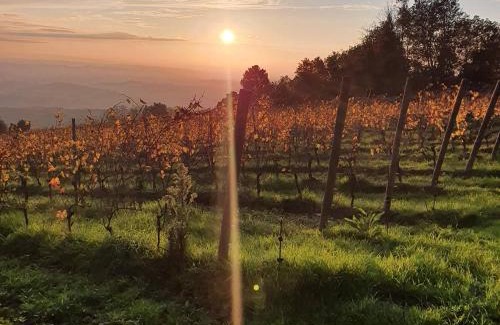 Capraia e Limite Bed & Breakfast | B&B La Casa Di Zefiro