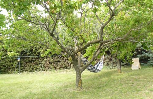 Valensole Bed & Breakfast | B&B La Grande Dame