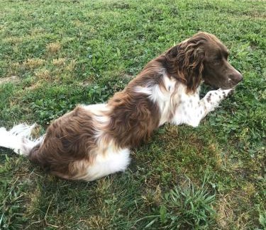 Valensole Bed & Breakfast | B&B La Grande Dame