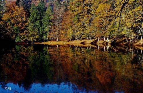 Manfredonia Bed & Breakfast | B&B Le Ferule