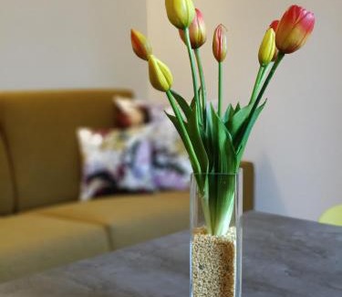 Castelfranco Emilia Apartment | B&B Luxury - Agnini 2