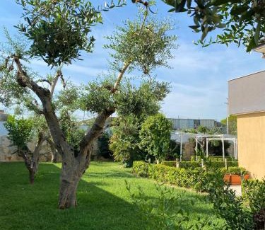 Municipio 4 Bed & Breakfast | B&B MIRAGE