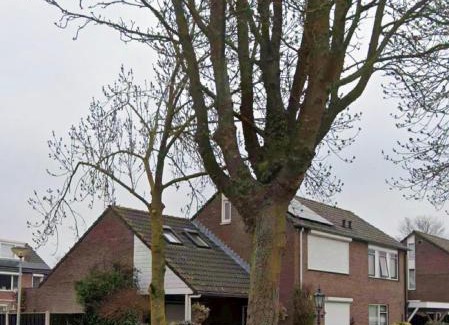 Winssen Bed & Breakfast | B&B Op de Bongerd, de Tiny House beleving!