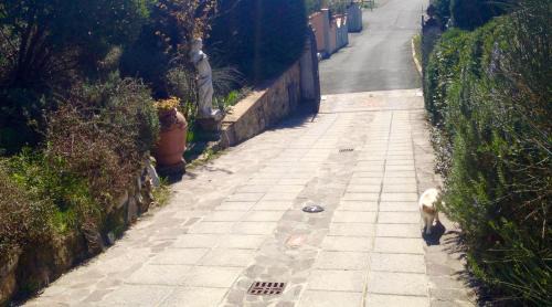 Dicomano Bed & Breakfast | B&B Pino del Capitano