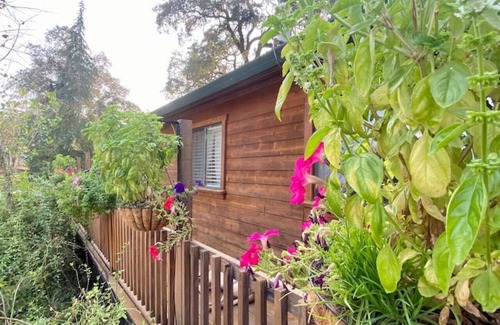 Cool Cottage | B-B Ranch Cottage~Heart of Gold Country~*HOT TUB*