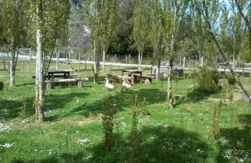 Papasidero Bed & Breakfast | B&B Ristorante Grotta Del Romito