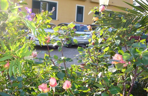 Caltanissetta House | B&B S. ELIA GREEN room: ENCHANTING VILLA IMMERSED IN THE HISTORICAL DUBINI PARK