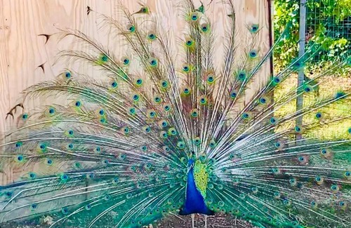 Partinico Bed & Breakfast | B&B Torre Turrisi