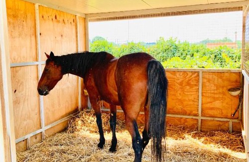 Partinico Bed & Breakfast | B&B Torre Turrisi