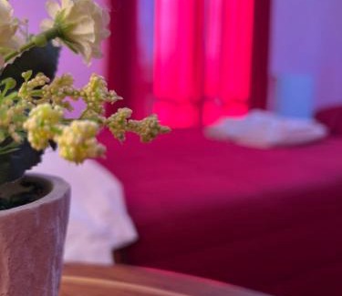 Cincelli Bed & Breakfast | B&B Villa Sabrina